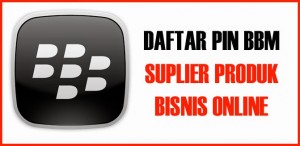 DATA KONTAK BBM RESELLER OL SHOP 